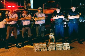 Cão Farejador da GCM dá apoio à Polícia Rodoviária e localiza 188 tabletes de maconha