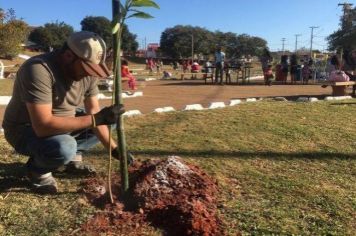 Prefeitura de Itapetininga realiza o plantio de mais de 6 mil árvores em bairros de Itapetininga