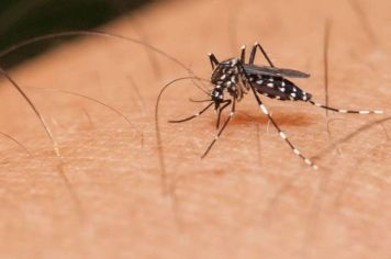 Prefeitura de Itapetininga orienta sobre prevenção contra dengue