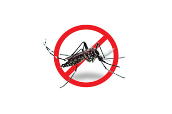 Itapetininga registra queda de mais de 95% nos casos de dengue no 1º semestre de 2022