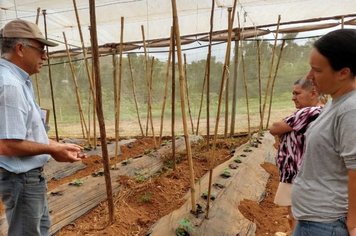 Orientações de agricultura e visitas técnicas são oferecidas para produtores rurais de Itapetininga