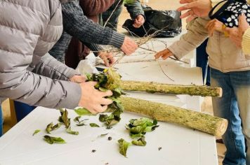 Aulas do Curso de Artesanato com Folhas e Galhos, Cascas e Grãos de Café são realizadas no Fundo Social de Itapetininga