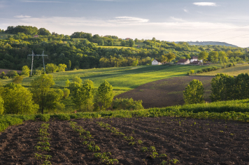 Itapetininga recebe Vigilância Sanitária estadual para visitas às entidades do projeto Plante Seguro