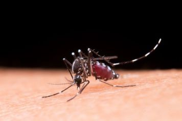 Itapetininga divulga calendário para novos Arrastões contra a Dengue e Mutirões de Limpeza