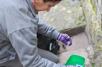 Mutirão contra a dengue remove 188 toneladas de resíduos da vila Piedade, em Itapetininga