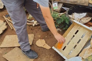 Mutirão de combate à dengue recolhe mais de 190 toneladas nas Vilas Hungria, Reis, Rio Branco e Maria Luiza