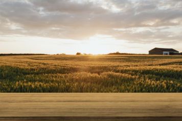 No Dia Nacional da Pecuária, Itapetininga destaca programas e ações voltados à expansão do segmento