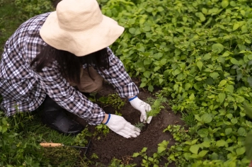 Itapetininga fecha 2025 com saldo positivo de empregos e inicia 2026 com recorde de vagas no PAT