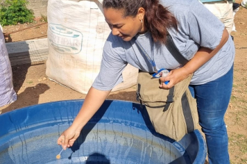 Mutirão contra a Dengue remove 183 toneladas de resíduos das vilas Paulo Ayres e Prado, em Itapetininga