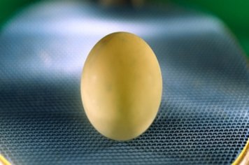 Itapetiningana é vice-campeã da Copa Brasil de Tênis de Mesa 