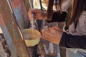 Prefeitura de Itapetininga realiza Mutirão contra a Dengue nas Vilas Paulo Ayres e Prado nos dias 30 e 31 de agosto, sábado e domingo