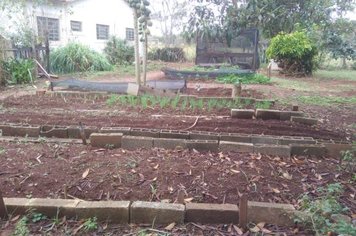 Secretaria de Agricultura, Agronegócio, Trabalho e Desenvolvimento oferece orientação técnica para cultivo de horta no CAPS II