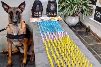 “Itapê + Segura” apreende 300 porções de cocaína na Vila Palmeira 