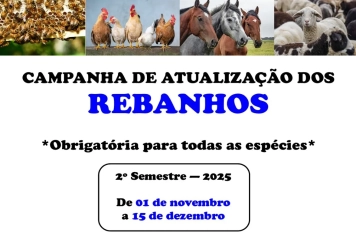 Criadores devem declarar seus rebanhos até o dia 15 de dezembro
