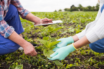 Itapetininga registra saldo positivo de empregos formais em julho, aponta Novo CAGED