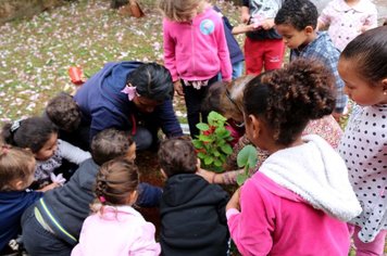 Secretaria da Educação promove ação “Todos pelo Meio Ambiente” na EMEI Prof.ª Nair do Carmo Ferrielo de Mattos, no Jardim Monte Santo