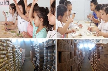 Prefeitura serve 80 mil refeições por dia para alunos da rede de ensino