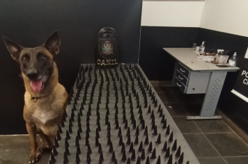 Canil da Guarda Municipal de Itapetininga localiza mais de 480 porções de entorpecentes na Vila Arruda