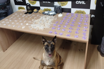 Polícia Militar apreende mais de 1600 porções de drogas e quase 1kg de entorpecentes com apoio de cão farejador da GCM de Itapetininga