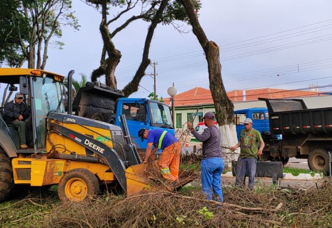 Prefeitura realiza poda de árvores na Praça Siqueira Campos
