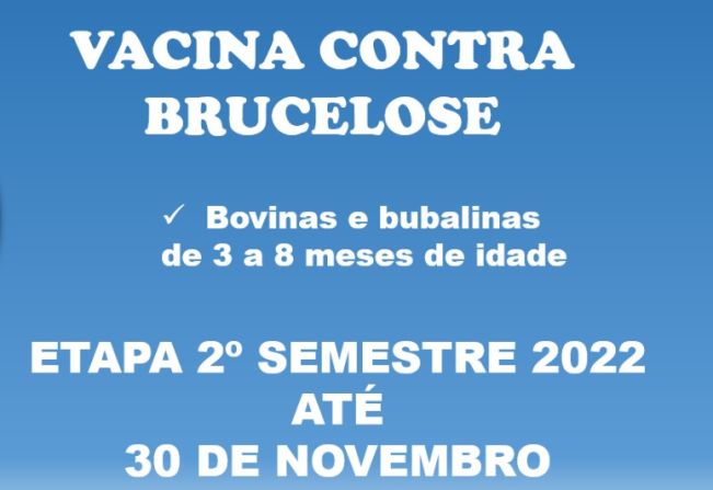 Prefeitura de Itapetininga informa que vacina contra Brucelose vai até o dia 30 de novembro