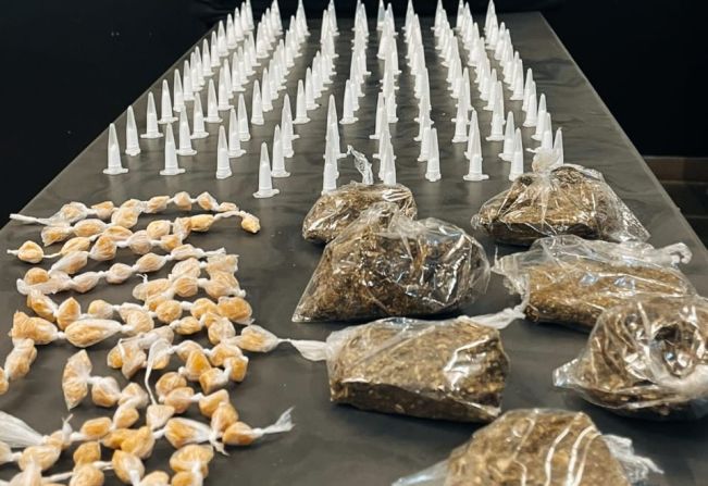 Guarda Municipal apreende grande quantidade de drogas na Vila Prado