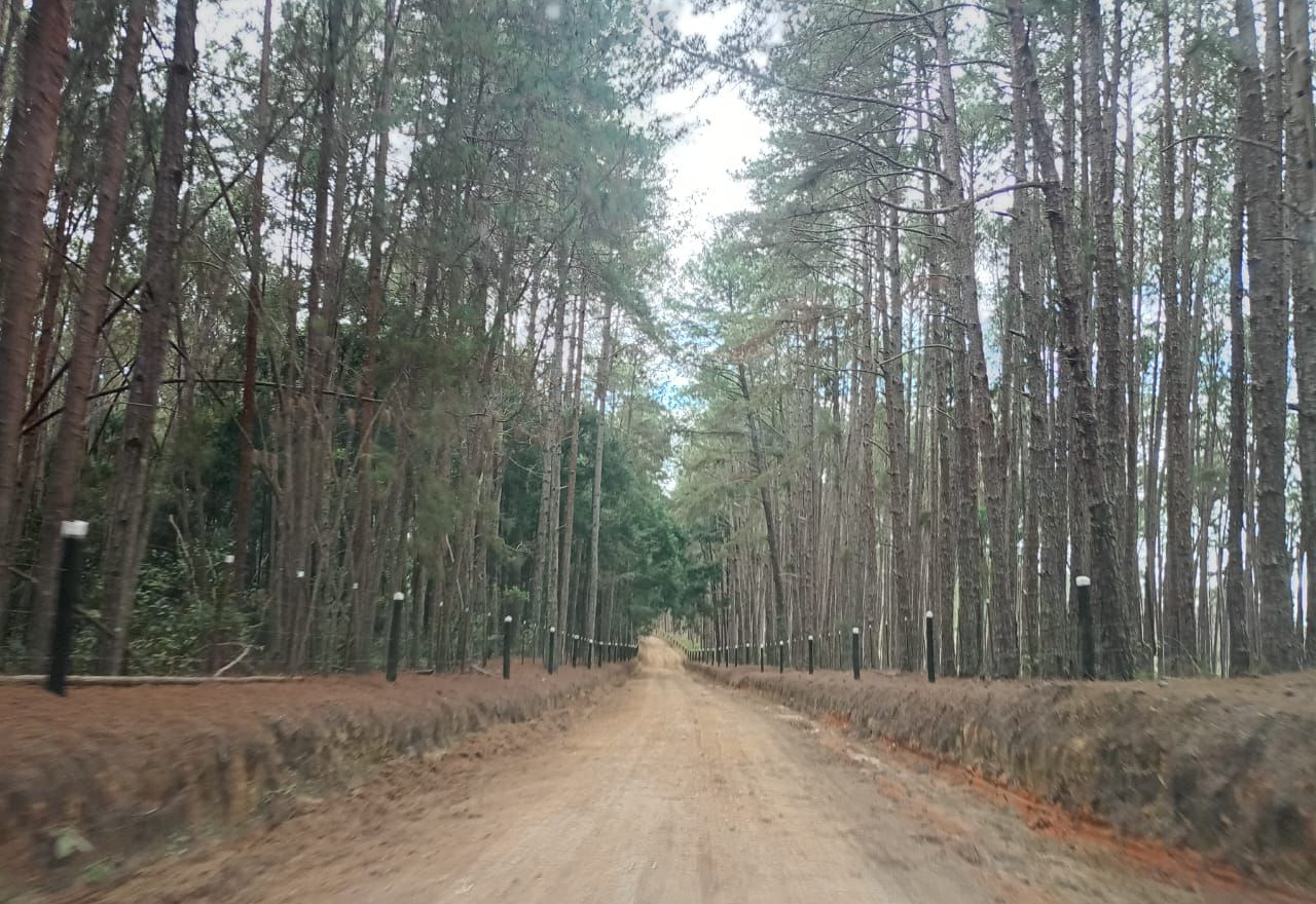 Prefeitura de Itapetininga realiza manutenção em estradas rurais nos bairros São Bento e Várzea