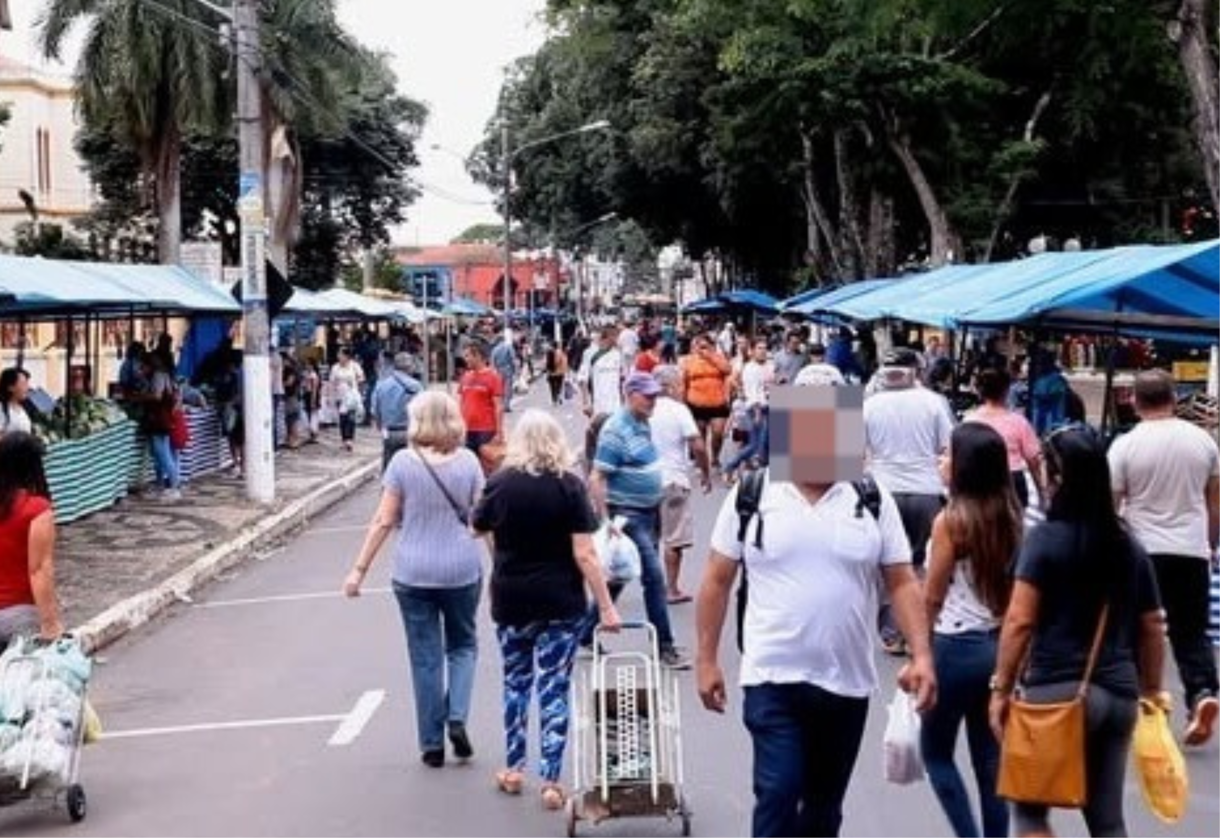 Feiras livres da avenida Peixoto Gomide e vila Rio Branco funcionarão normalmente durante o Finados em Itapetininga