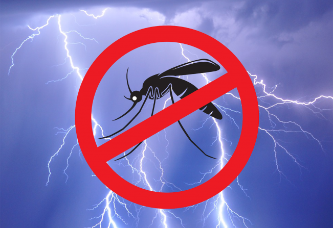 Dengue: Redobre a atenção no período de chuva e altas temperaturas