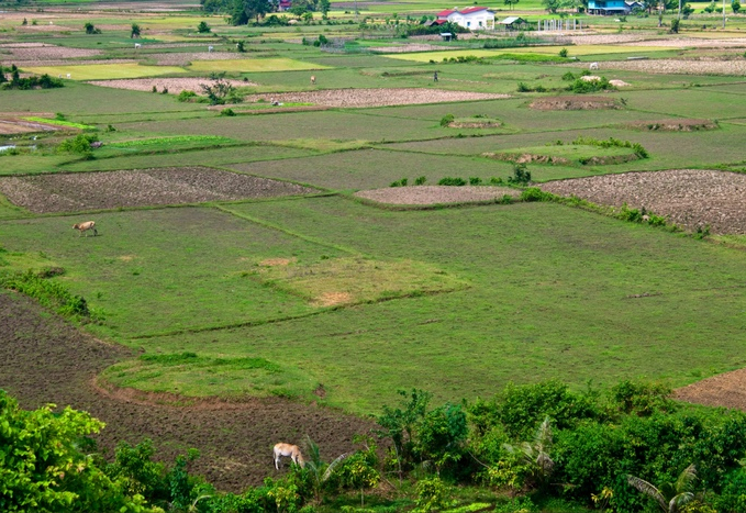 Aberta a emissão do CCIR 2025. Prazo vai até 16 de julho