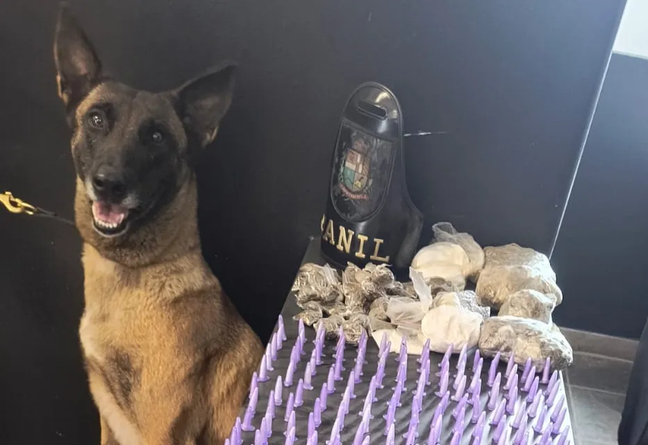 Guarda Municipal de Itapetininga apreende 445 porções de drogas na Vila Mazzei