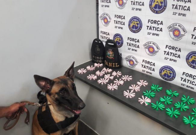 260 pinos de cocaína foram apreendidos na Vila Prado durante ação da Polícia Militar e Canil da GCM de Itapetininga