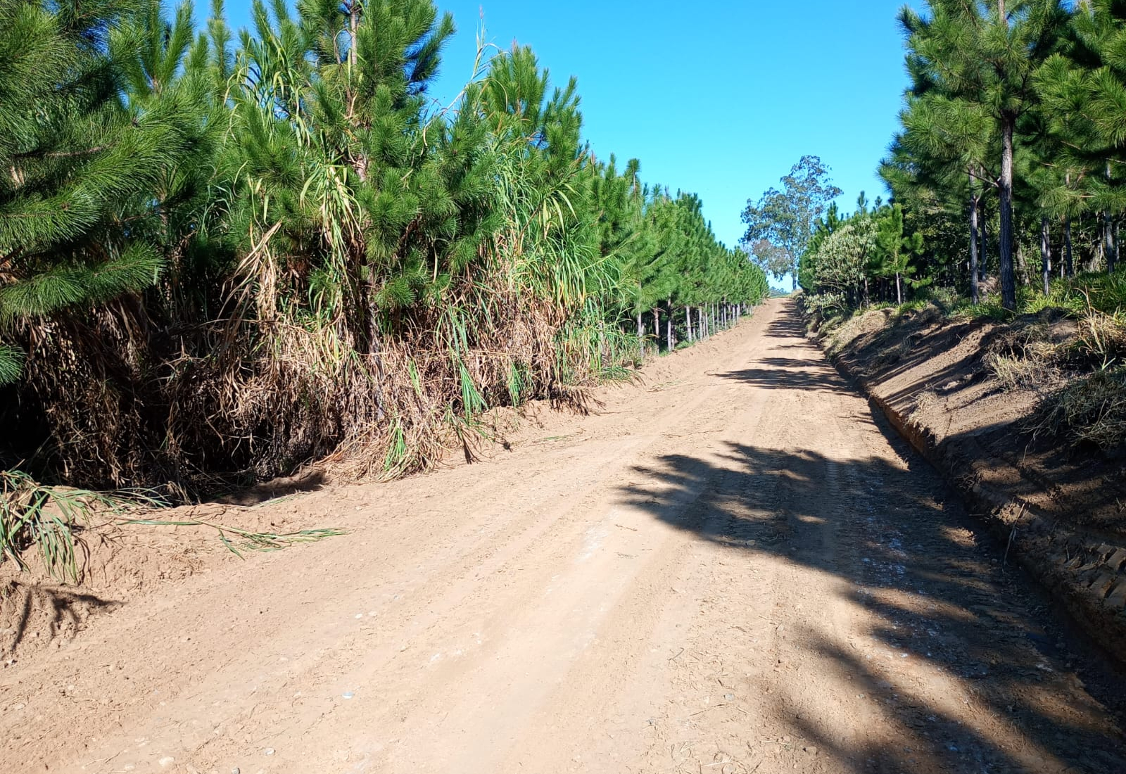 Prefeitura realiza nivelamento em estrada do bairro da Pescaria