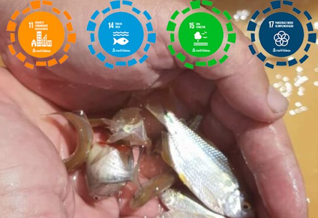 Sabesp e Prefeitura realizam a soltura de mais de 7 mil filhotes de peixes em Itapetininga em comemoração ao Dia Mundial da Água