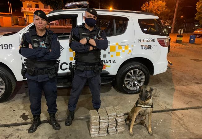 Cão farejador da GCM de Itapetininga localiza carregamento de skank em apoio ao patrulhamento da Polícia Rodoviária