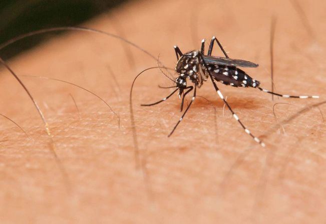 Itapetininga contra a Dengue e a prevenção é intensificada todos os dias