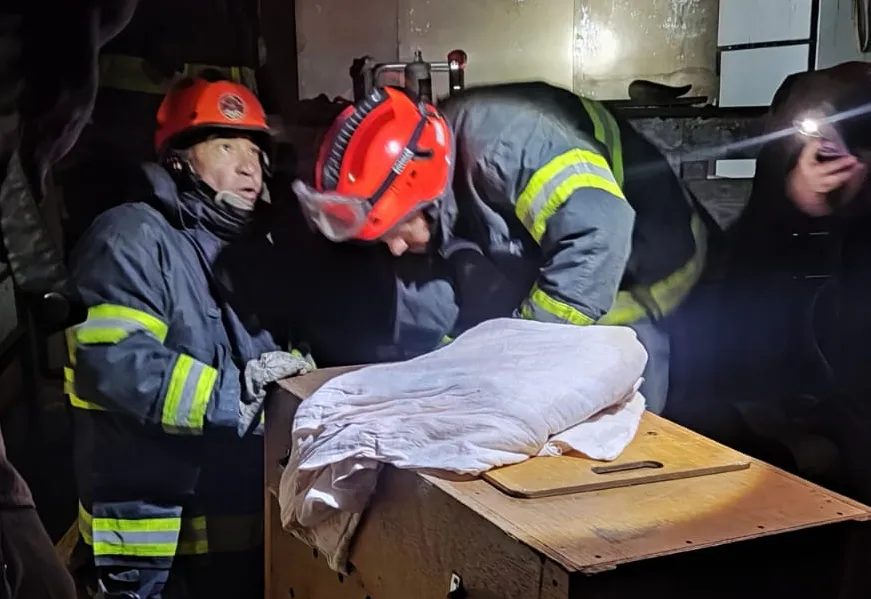 Capivara ferida em Itapetininga é capturada e atendida por equipes da Prefeitura e Corpo de Bombeiros