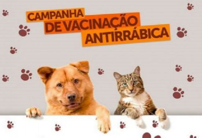 Campanha Antirrábica de Itapetininga está suspensa até a chegada de novas doses