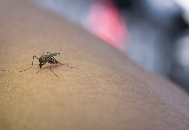 Cuidados com a dengue no período de chuvas