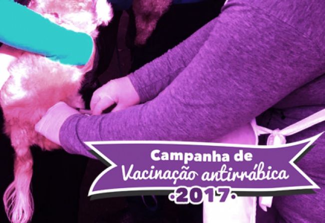 Vacinação antirrábica imuniza 200 animais