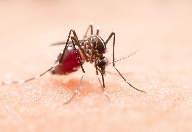 Mesmo com pandemia, Itapetininga registra mais de 184 mil inspeções a imóveis no combate à dengue