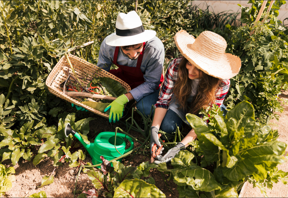 Itapetininga registra saldo positivo de empregos nos oito primeiros meses do ano, segundo dados do Caged