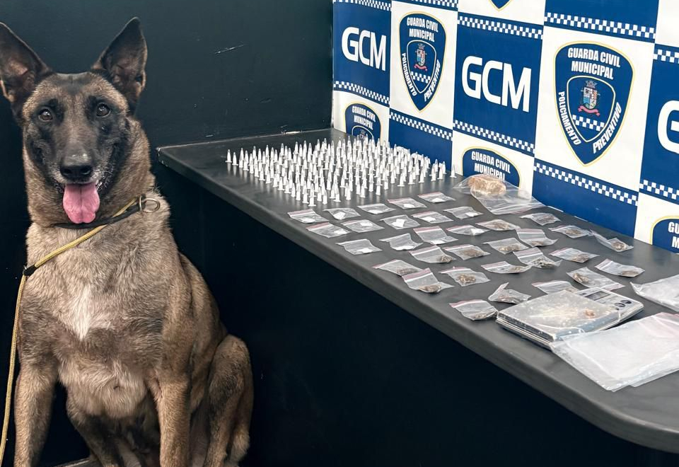 Guarda Municipal de Itapetininga apreende mais de 200 porções de drogas na vila Belo Horizonte