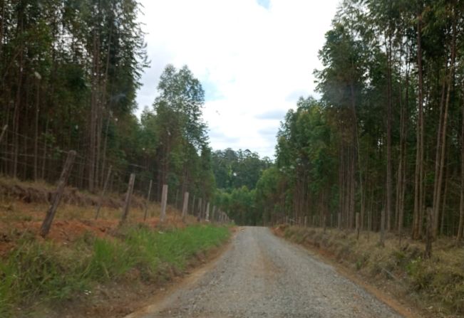 Secretaria de Serviços Públicos executa manutenção em estradas do bairro Capivari