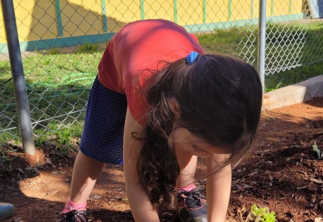 EMEI Prof.ª Jacy Ferreira Cerqueira desenvolve Projeto Horta na Escola