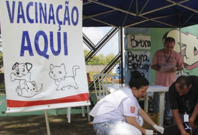 Campanha de vacinação antirrábica começa sábado