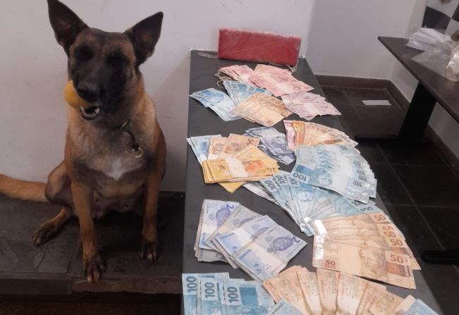 Guarda Civil apreende drogas e dinheiro em ronda no bairro de Itapetininga neste domingo