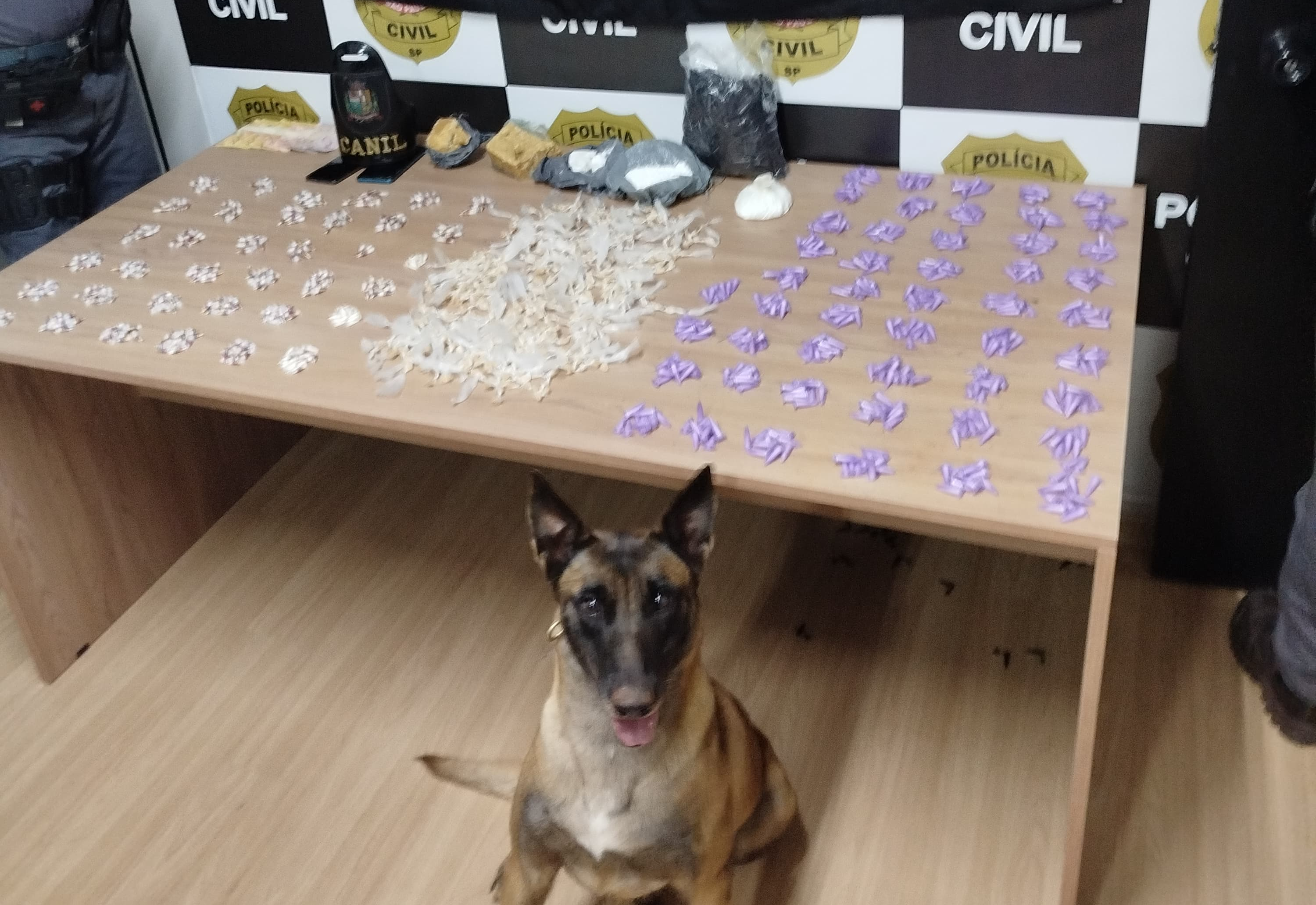 Polícia Militar apreende mais de 1600 porções de drogas e quase 1kg de entorpecentes com apoio de cão farejador da GCM de Itapetininga