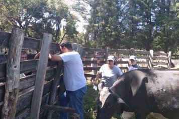 Produtores rurais recebem orientações da Prefeitura sobre técnicas de manejo e aumento de produtividade