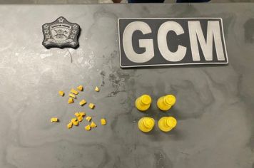 Guarda Municipal de Itapetininga prende motorista embriagado e apreende drogas em veículo